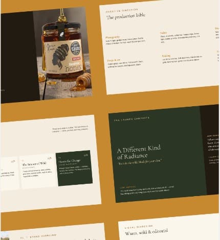 Launch a new product & build a strategy for growth project imagery