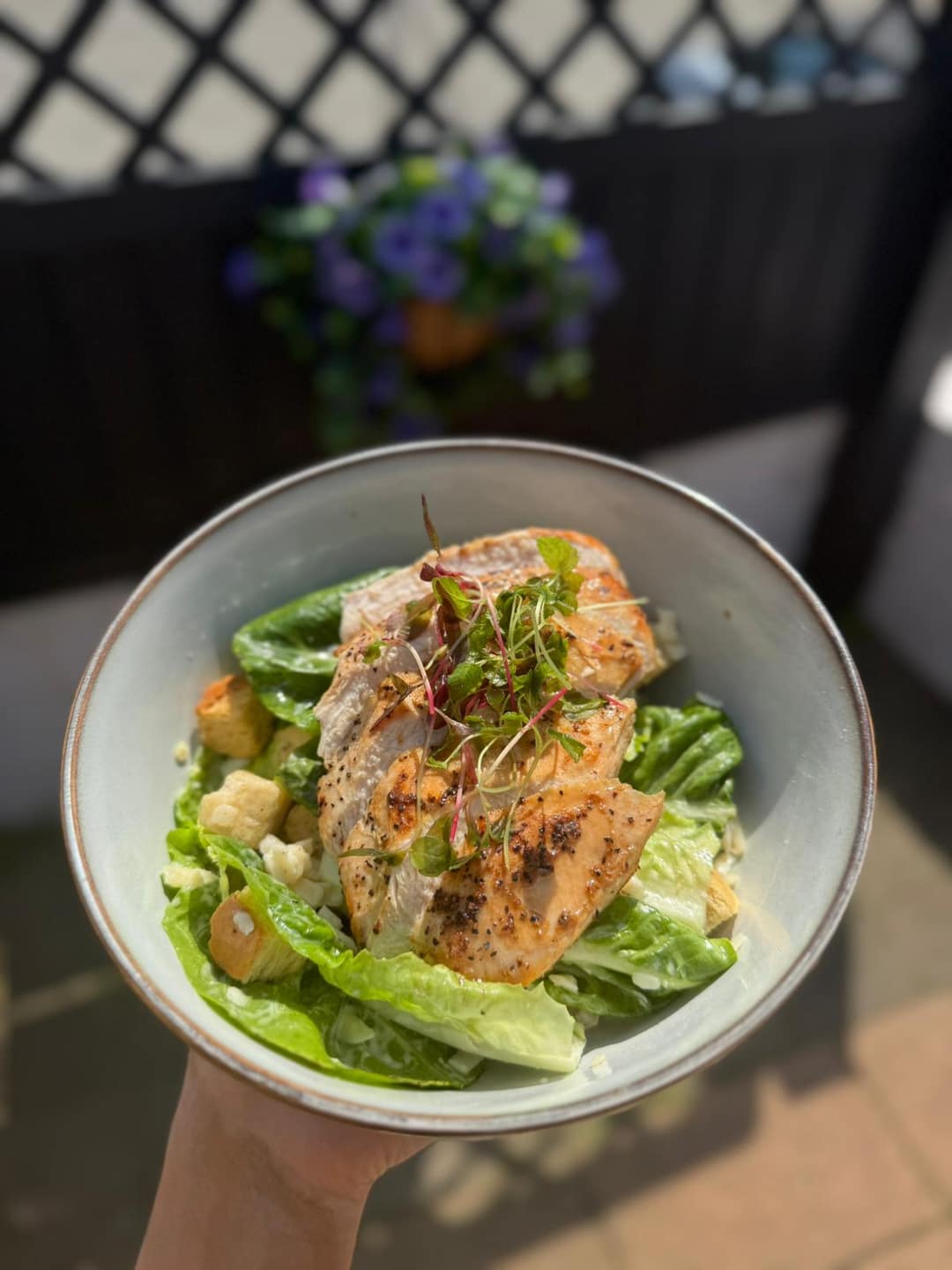 Caesar salad, plated for content day photography